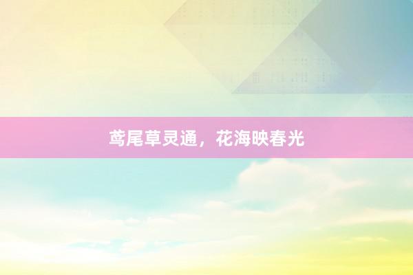 鸢尾草灵通，花海映春光