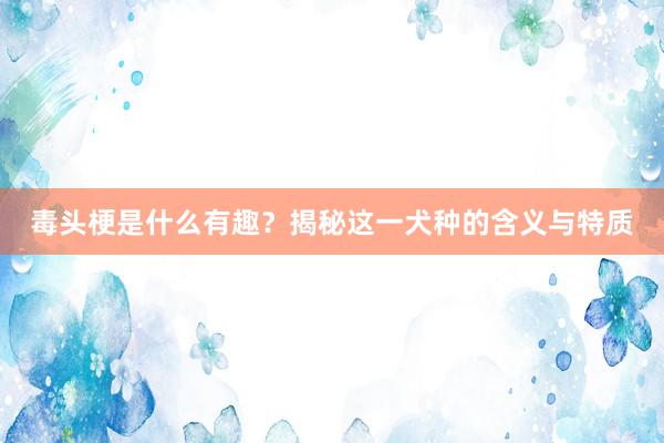 毒头梗是什么有趣？揭秘这一犬种的含义与特质